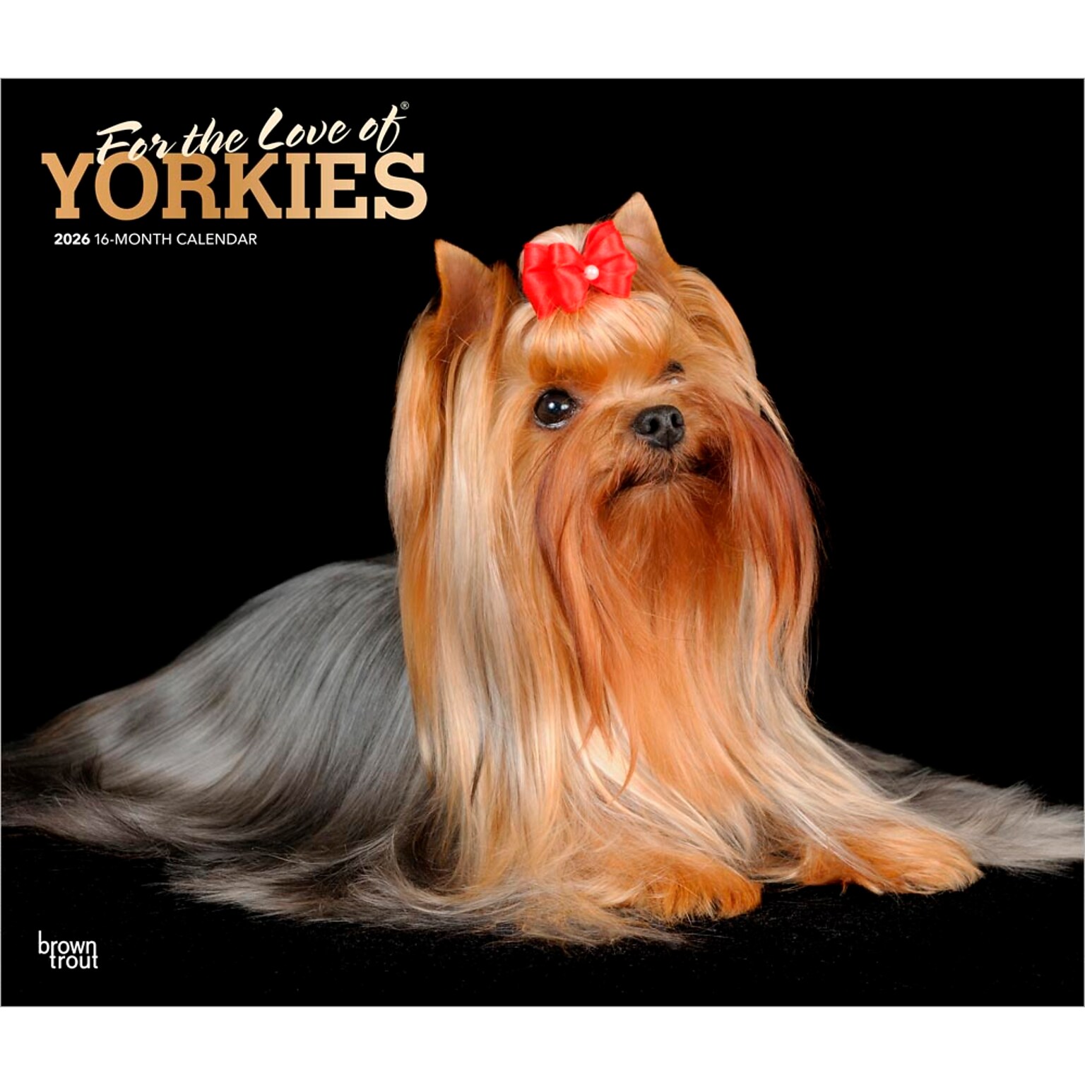 2026 BrownTrout For the Love of Yorkshire Terriers 14 x 12 Monthly Wall Calendar (9798330707188)