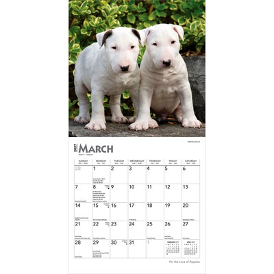 2027 BrownTrout For the Love of Puppies 7" x 7" Monthly Wall Calendar (9798330709748)