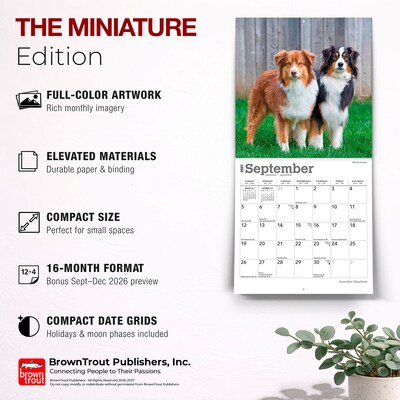 2027 BrownTrout Australian Shepherds 7" x 7" Monthly Wall Calendar, Assorted Colors (9798330709878)