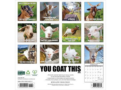 2025 Willow Creek You Goat This 12 x 12 Monthly Wall Calendar (45572)