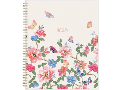 2025 Blue Sky Fly By 8.5 x 11 Weekly & Monthly Planner, Plastic Cover, Multicolor (140195-25)