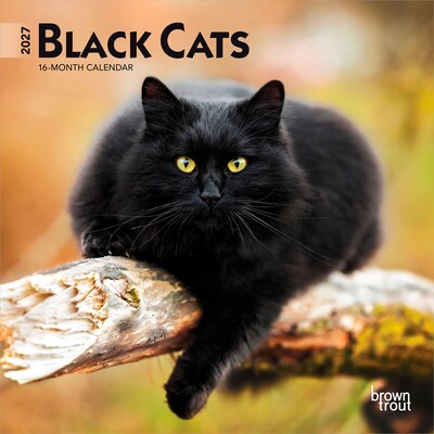 2027 BrownTrout Black Cats 7 x 7 Monthly Wall Calendar, Assorted Colors (9798330709700)