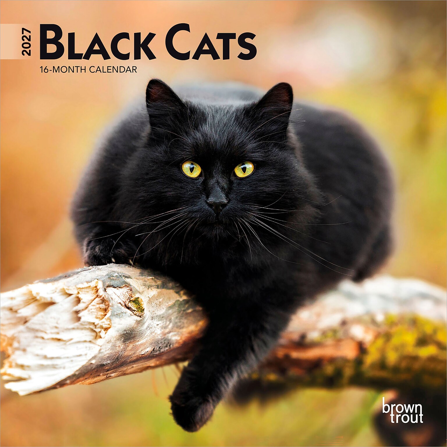 2027 BrownTrout Black Cats 7 x 7 Monthly Wall Calendar, Assorted Colors (9798330709700)