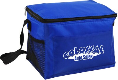 Budget Cooler Bag