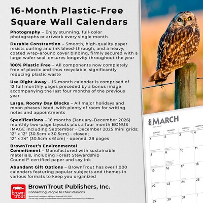 2026 BrownTrout Owls 12" x 12" Monthly Wall Calendar (9798330705054)