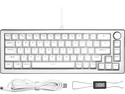 Cooler Master CK720 Gaming Mechanical Keyboard, Silver White (CK-720-SKKM1-US)