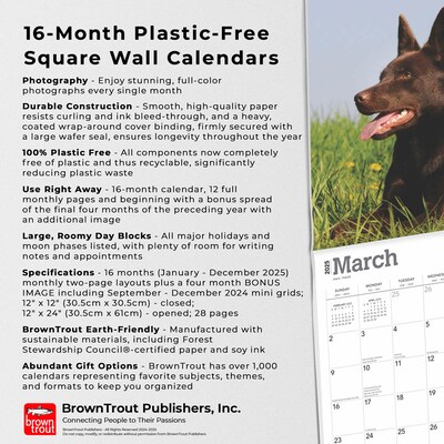 2025 BrownTrout Australian Kelpies 12" x 24" Monthly Square Wall Calendar (9781975476540)
