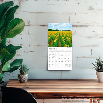 2026 BrownTrout Sunflowers 7" x 7" Monthly Wall Calendar (9798330705689)