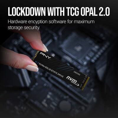 PNY CS2150 1TB M.2 Internal Solid State Drive (M280CS2150-1TB-TB)