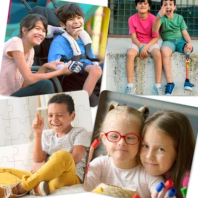 MINILAND 25-Piece Inclusion Puzzles, 4/Set (MLE35271)