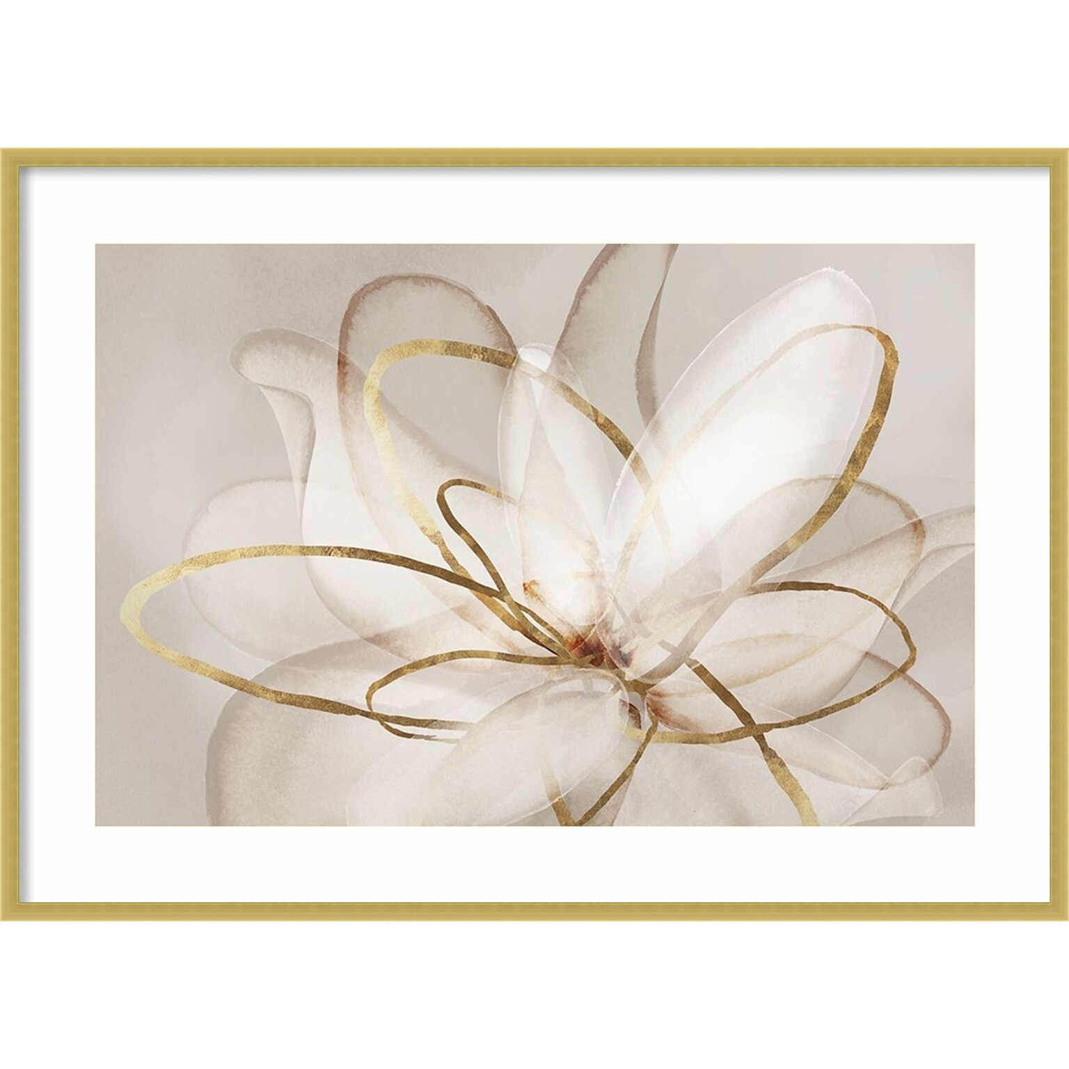 Amanti Art Transparent Beauty III (Floral) by Eva Watts Wood Framed Wall Art Print, 41 x 30 (A42677794069)