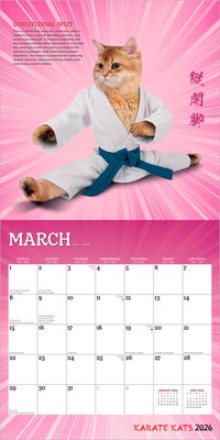 2026 BrownTrout Karate Cats 12" x 12" Monthly Wall Calendar (9798330701889)