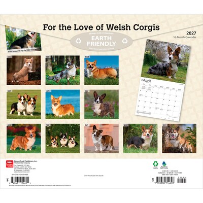 2027 BrownTrout For the Love of Welsh Corgis 14 x 12 Monthly Wall Calendar, Assorted Colors (9798330714698)