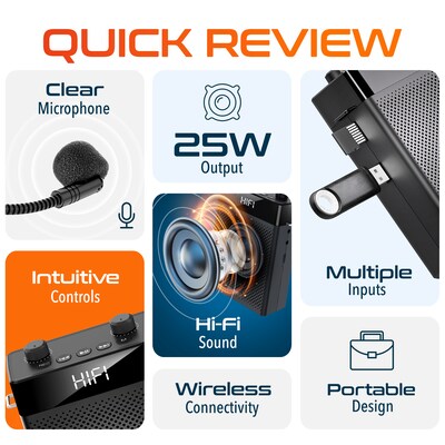Delton A566 Bluetooth Voice Amplifier with Wireless Headset, Portable Amplifier with Microphone, Black (DVA566)