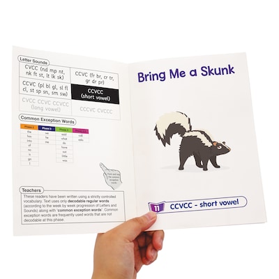 Beanstalk Books The Beanies Hi-Lo Diversity Decodables Phase 4 Set 2, 12/Set (JRLBB155)