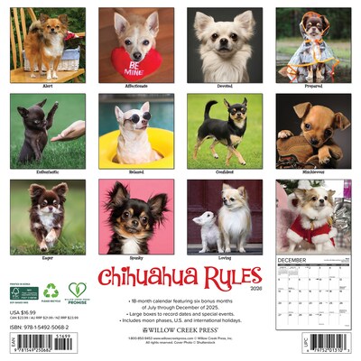 2026 Willow Creek Chihuahua Rules 12 x 12 Monthly Wall Calendar (50682)