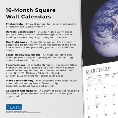 2025 Plato Outer Space 12" x 24" Monthly Square Wall Calendar, (9781975478858)
