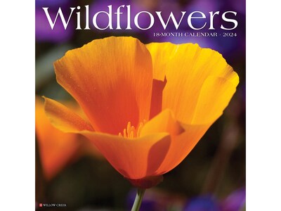 2024 Willow Creek Wildflowers 12" x 12" Monthly Wall Calendar (35986)