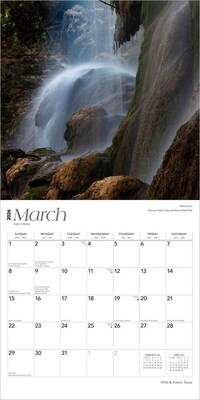 2026 BrownTrout Texas Wild & Scenic 12" x 12" Monthly Wall Calendar (9798330705825)