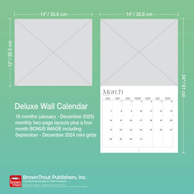 2025 BrownTrout NASA Explore the Universe 7" x 12" Monthly Deluxe Wall Calendar (9781975473105)