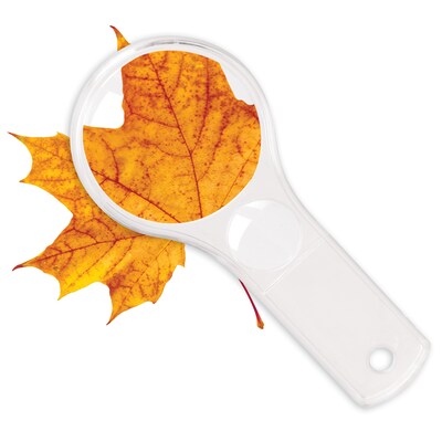 Learning Resources Dual Lens Magnifiers