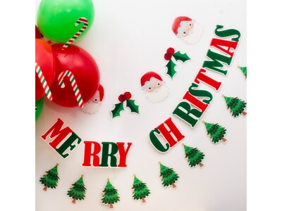 Pukka Party Christmas Decoration Pack, Assorted Colors (PTY546)