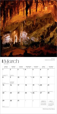2026 BrownTrout New Mexico Wild & Scenic 12" x 12" Monthly Wall Calendar (9798330704859)