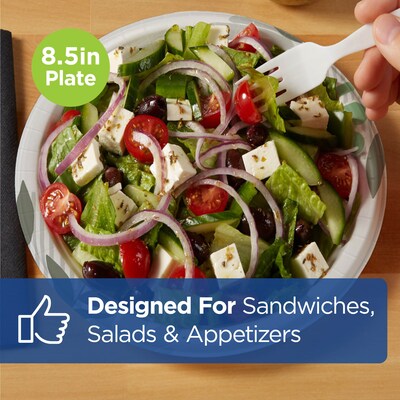 Dixie Pathways Medium-Weight Paper Plates, 8.5”, 500/Carton (UX9WS)