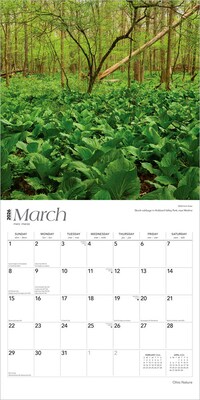 2026 BrownTrout Ohio Nature 12" x 12" Monthly Wall Calendar (9798330704941)