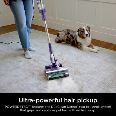 Shark PowerDetect Stick Vacuum, Bagless, Eggplant (HZ4002)