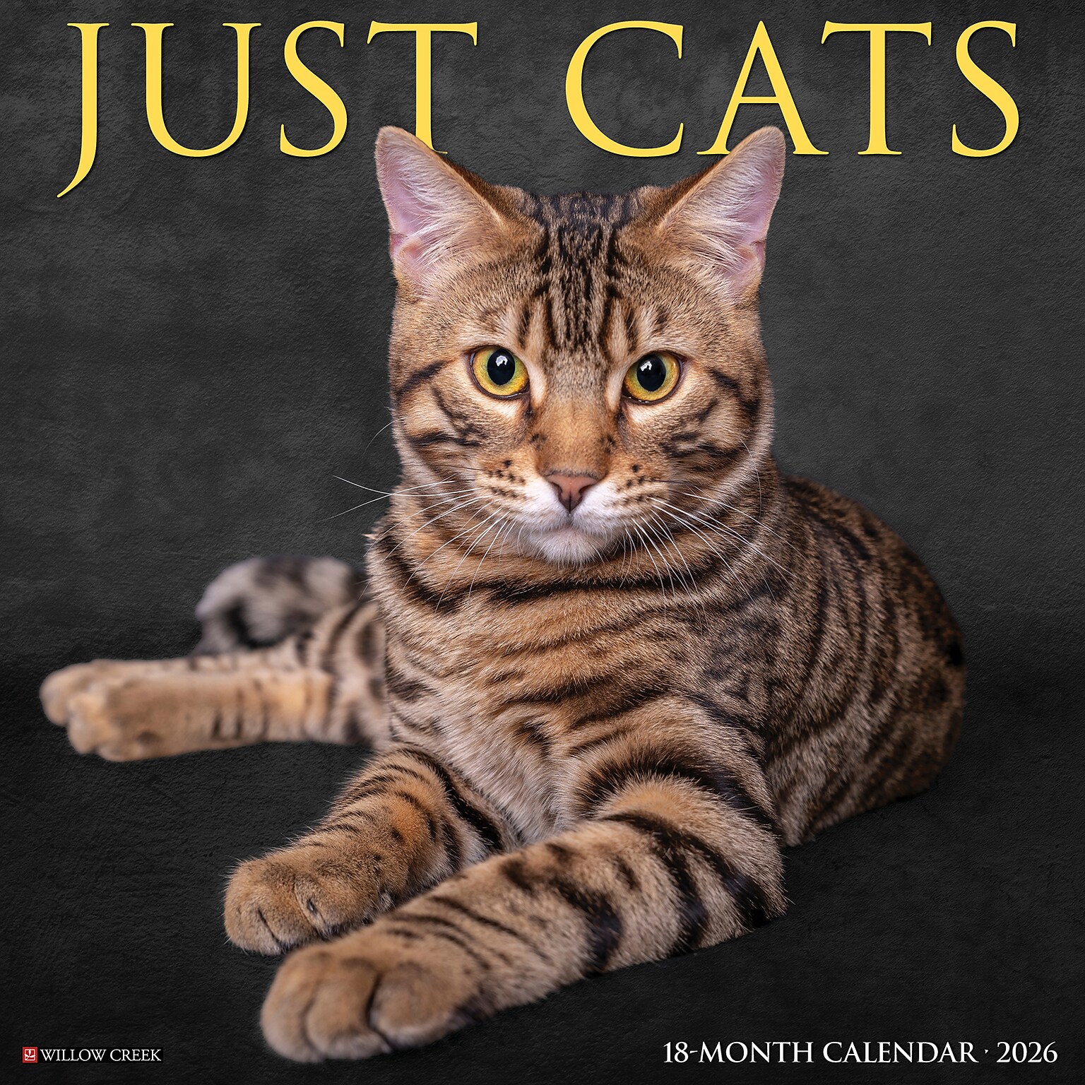 2026 Willow Creek Cats 12 x 12 Monthly Wall Calendar (50613)