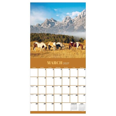 2027 TF Publishing Horses 12 x 12 Monthly Wall Calendar (27-1012)