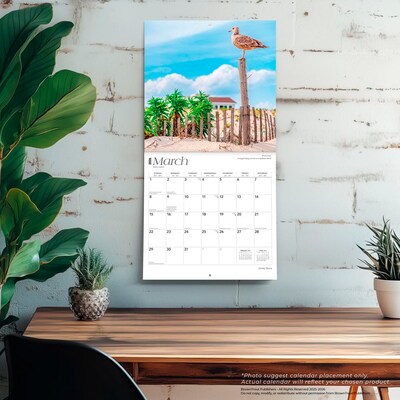2026 BrownTrout Jersey Shore 12" x 12" Monthly Wall Calendar (9798330704019)