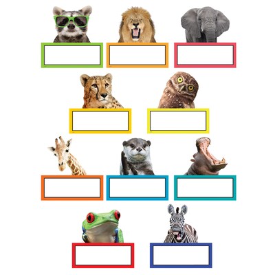 Teacher Created Resources Go Wild Animals Accents, 30/Pack, 3 Packs/Bundle (TCR6854-3)