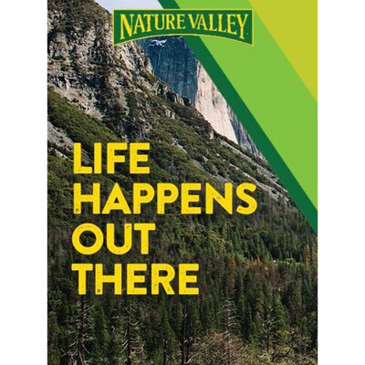 Nature Valley Oats & Honey Granola Bar, 1.49 oz, 18/Box (GEM33530)