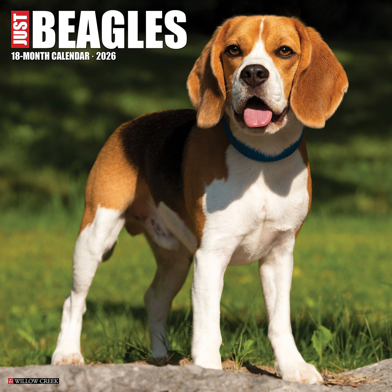 2026 Willow Creek Beagles 12 x 12 Monthly Wall Calendar (50156)