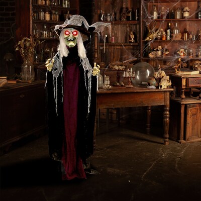 Haunted Hill Farm Life-Size Poseable Witch (HHWITCH-27FLSA)