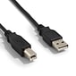 NXT Technologies™ 6' USB A Male/B Male, Black (NX29749)