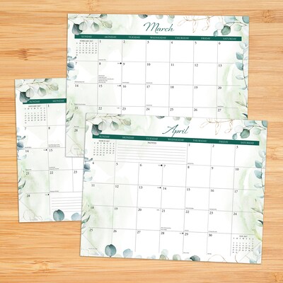2027 Willow Creek Eucalyptus 14.25 x 11.25 Monthly Wall Calendar, Assorted Colors (64825)