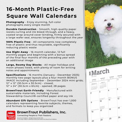 2025 BrownTrout Bichon Frise 12" x 12" Monthly Wall Calendar (9781975476632)