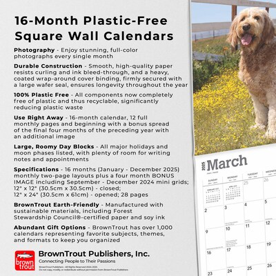 2025 BrownTrout Goldendoodles 12" x 12" Monthly Square Wall Calendar (9781975477080)