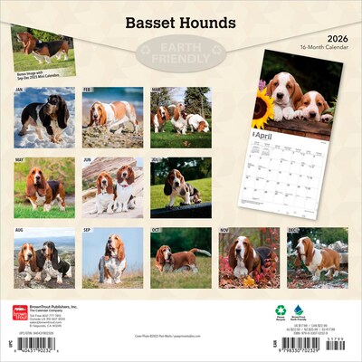 2026 BrownTrout Basset Hounds 12 x 12 Monthly Wall Calendar (9798330702329)