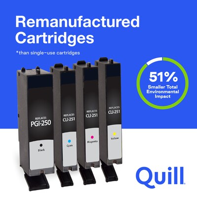 Quill Brand® Remanufactured Black/C/M/Y Standard Yield Ink Cartridge Replacement for Canon PGI-225/CLI-226 (4530B008), 4/Pack
