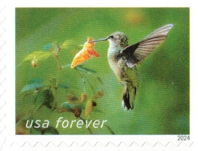 USPS Garden Delights Forever 20 Postage Stamps (FOR-GARDENDE-20)