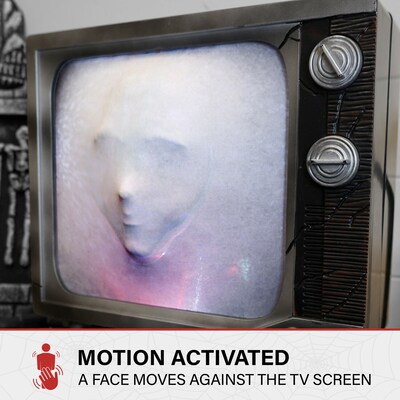 Haunted Hill Farm Haunted TV by Tekky (HHHAUNTTV-1FLSA)