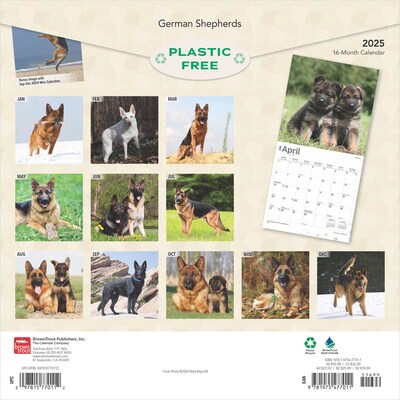 2025 BrownTrout German Shepherds 12 x 12 Monthly Square Wall Calendar (9781975477011)