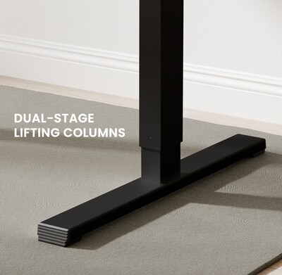 FlexiSpot EC2 48"W Electric Rectangular Adjustable Standing Desk, Black (EC2B-4824B)