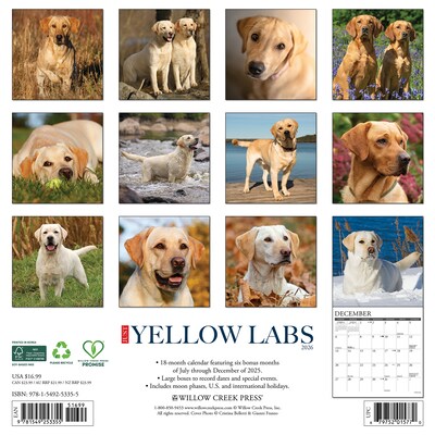 2026 Willow Creek Yellow Labs 12 x 12 Monthly Wall Calendar, Reversible (53355)