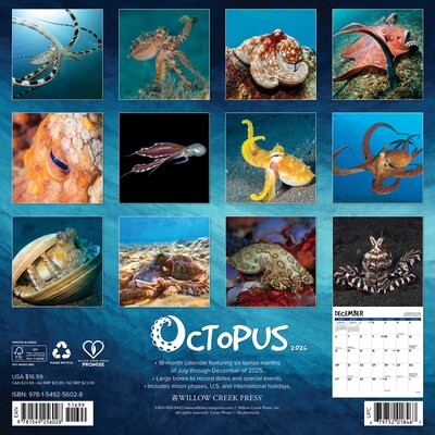 2026 Willow Creek Octopus 12 x 12 Monthly Wall Calendar (56028)