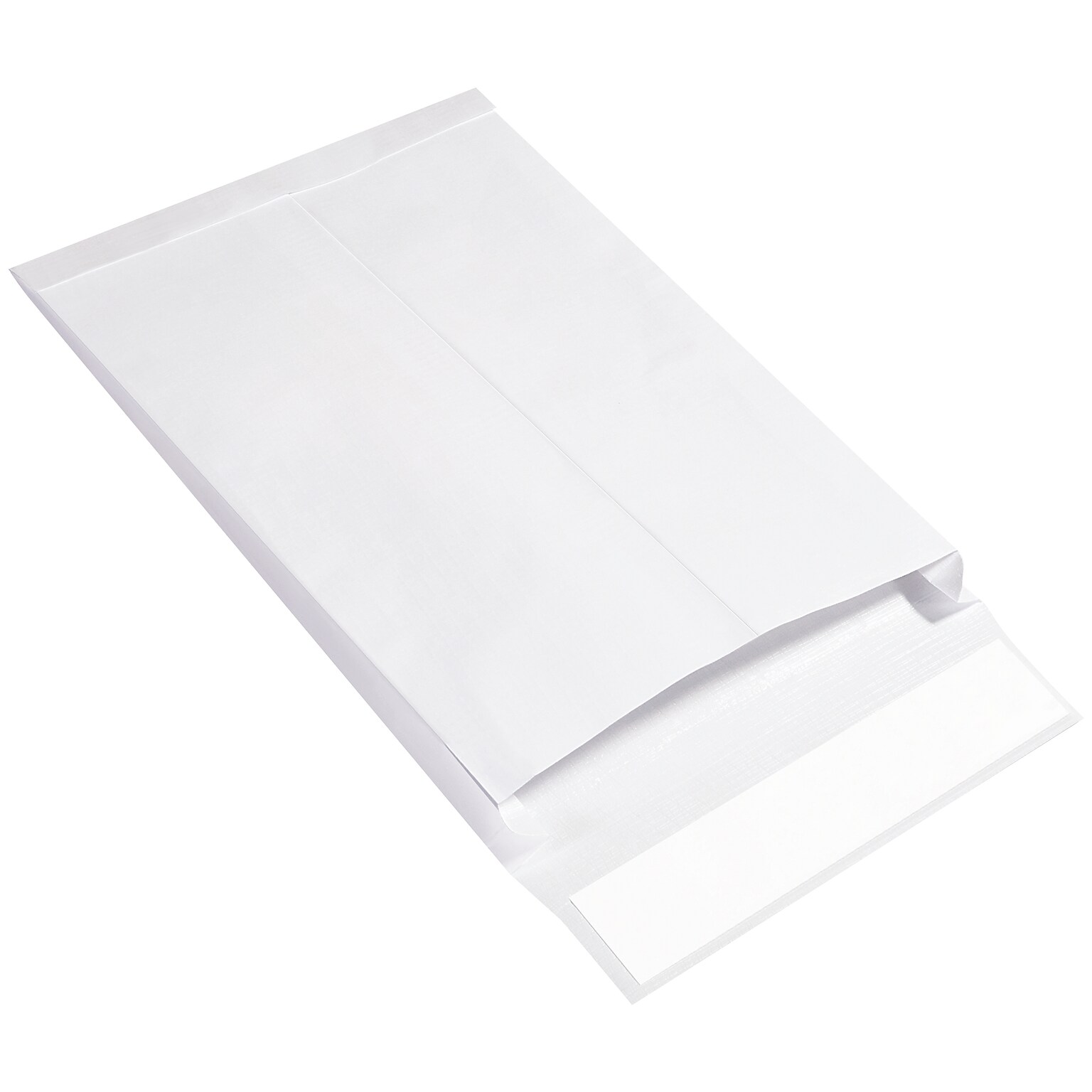 Ship-Lite Self Seal Security Tinted #1 Catalog Envelope 10 x 13, White, 100/Carton (SLE10131WE)